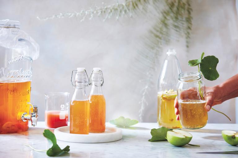 Green Tea Kombucha with Apple Varying stages of the kombucha brewing process. From fermentation, bottling and ready to drink.