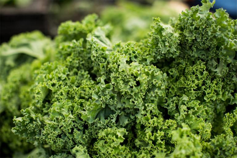 Crispy Kale Salad with Spicy Avocado Dressing fresh kale